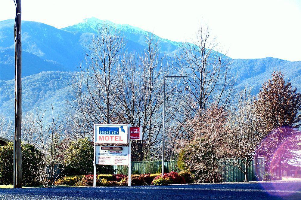 Bogong Moth Motel Mount Beauty Exteriör bild