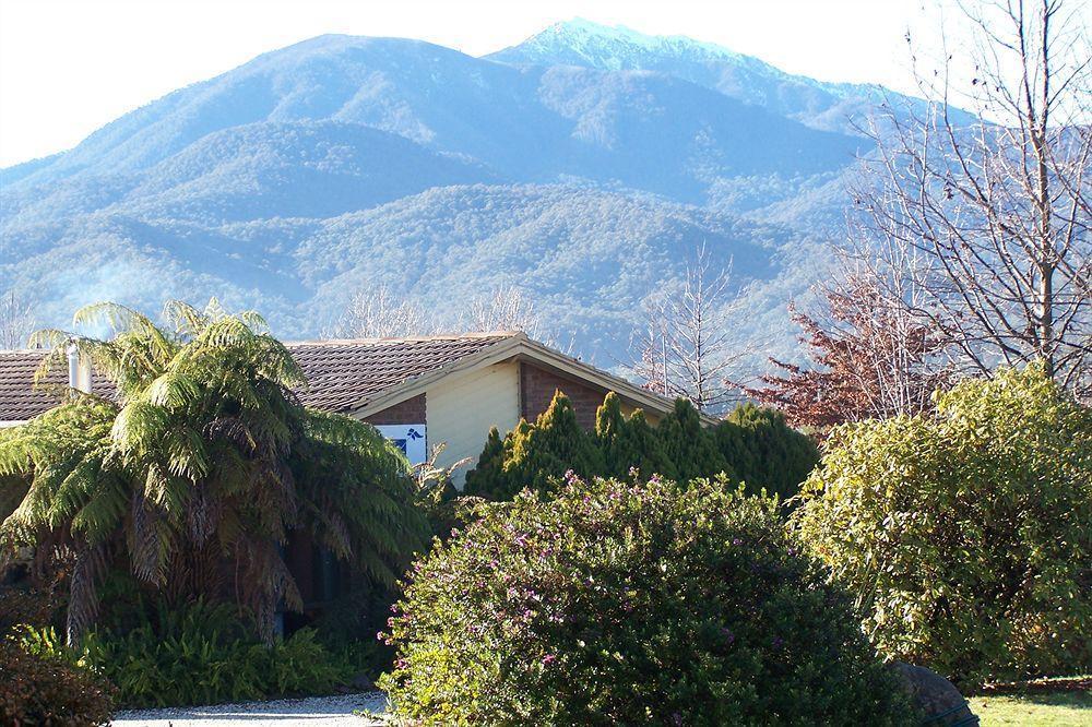 Bogong Moth Motel Mount Beauty Exteriör bild